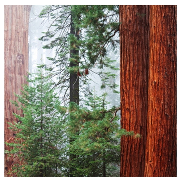 Box Of 1oz. & 2oz. Fragrance Oils For Soap & Candle Making (35 Full Bottles) - Picture 13 of 16